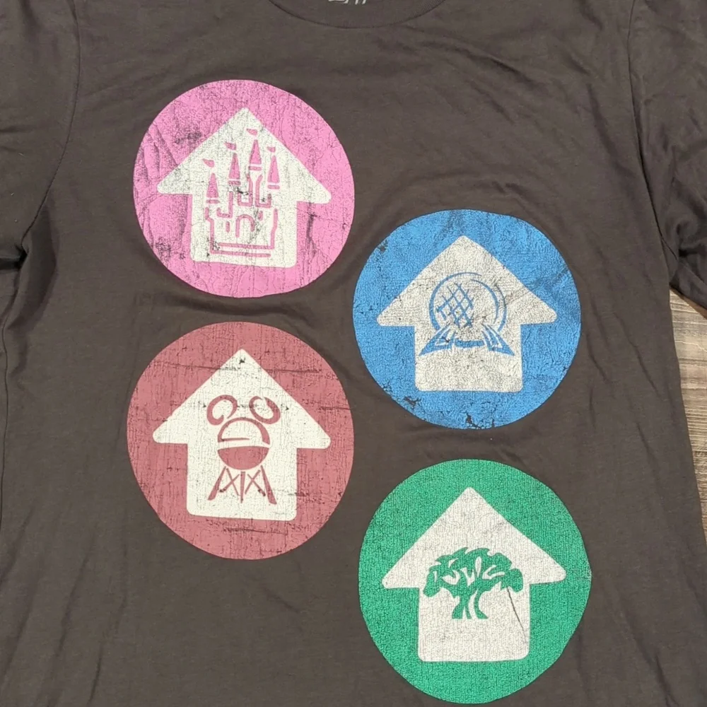 The lost bros Disney world parks top - Picture 2 of 3